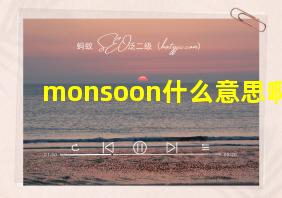 monsoon什么意思啊