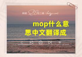 mop什么意思中文翻译成