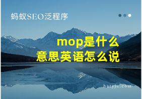 mop是什么意思英语怎么说