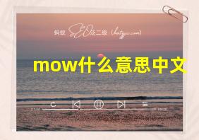 mow什么意思中文