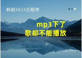 mp3下了歌却不能播放