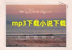 mp3下载小说下载