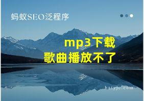 mp3下载歌曲播放不了