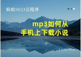 mp3如何从手机上下载小说