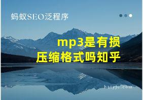 mp3是有损压缩格式吗知乎