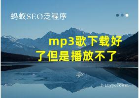 mp3歌下载好了但是播放不了