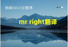 mr right翻译