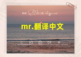 mr.翻译中文