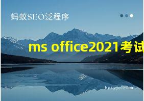 ms office2021考试