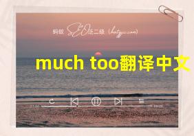 much too翻译中文