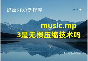 music.mp3是无损压缩技术吗