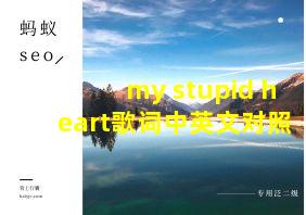 my stupid heart歌词中英文对照