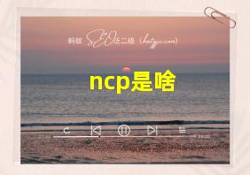 ncp是啥