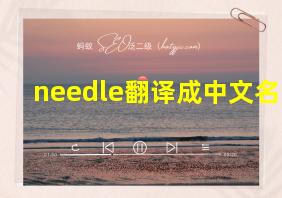 needle翻译成中文名