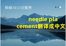 needle placement翻译成中文