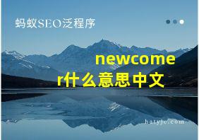 newcomer什么意思中文