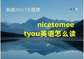 nicetomeetyou英语怎么读