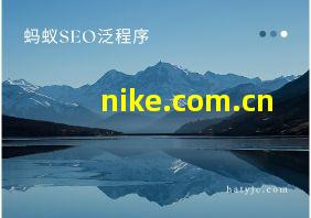 nike.com.cn