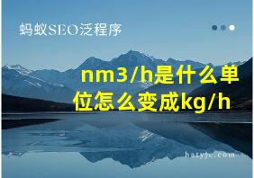 nm3/h是什么单位怎么变成kg/h