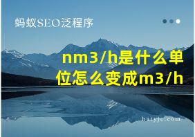 nm3/h是什么单位怎么变成m3/h