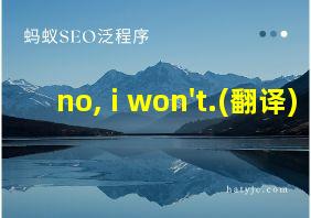 no, i won't.(翻译)