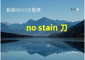 no stain 刀