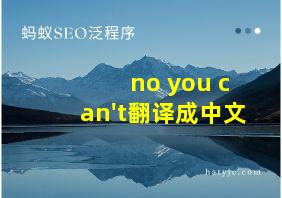 no you can't翻译成中文