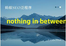 nothing in between 翻译