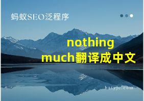 nothing much翻译成中文