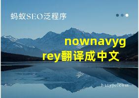 nownavygrey翻译成中文