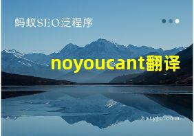 noyoucant翻译