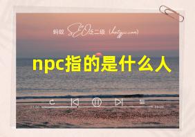 npc指的是什么人