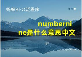 numbernine是什么意思中文