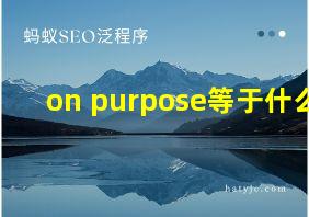 on purpose等于什么