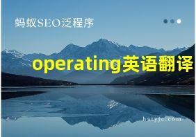 operating英语翻译