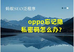 oppo忘记隐私密码怎么办?