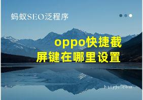 oppo快捷截屏键在哪里设置