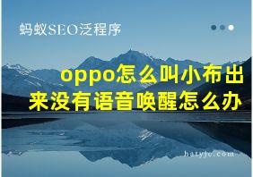 oppo怎么叫小布出来没有语音唤醒怎么办