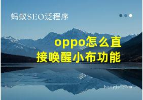 oppo怎么直接唤醒小布功能