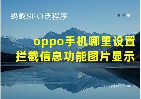 oppo手机哪里设置拦截信息功能图片显示