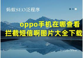 oppo手机在哪查看拦截短信啊图片大全下载