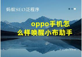 oppo手机怎么样唤醒小布助手