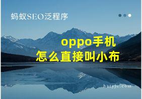 oppo手机怎么直接叫小布