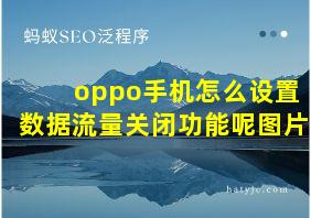 oppo手机怎么设置数据流量关闭功能呢图片