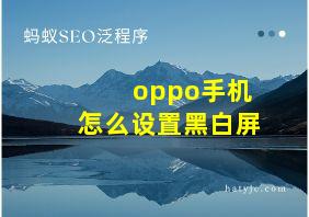 oppo手机怎么设置黑白屏