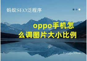 oppo手机怎么调图片大小比例