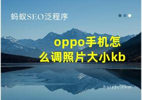 oppo手机怎么调照片大小kb