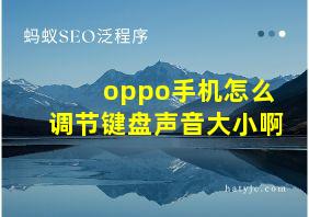 oppo手机怎么调节键盘声音大小啊