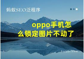 oppo手机怎么锁定图片不动了