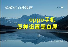 oppo手机怎样设置黑白屏